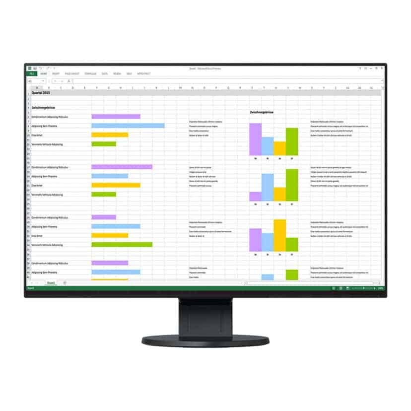 EIZO FlexScan EV2456-BK